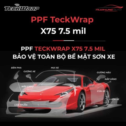 Phim PPF Teckwrap X75 7.5 mil