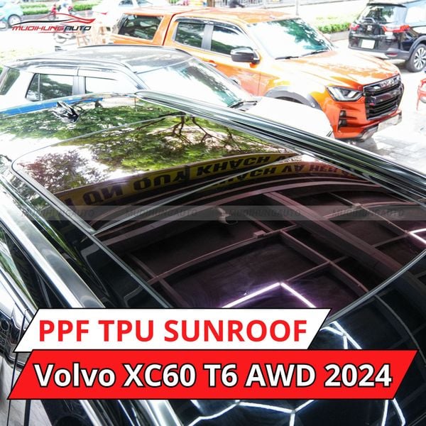 Volvo XC90 T6 AWD 2024 Dán Phim PPF TPU SUNROOF Cách Nhiệt Cửa Sổ Trời