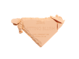  C636_DEAL 2: PHẤN MÁ HỒNG KÈM GƯƠNG FITTING BLUSHES 5G 