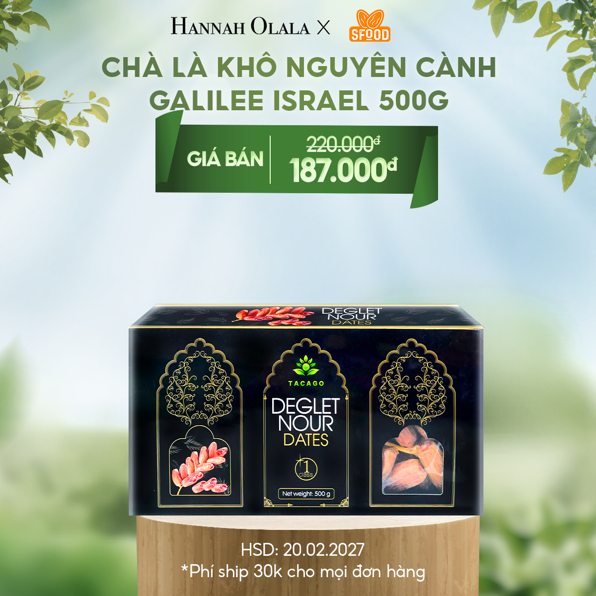  T23_DEAL 3: CHÀ LÀ KHÔ NGUYÊN CÀNH GALILEE ISRAEL 500G 