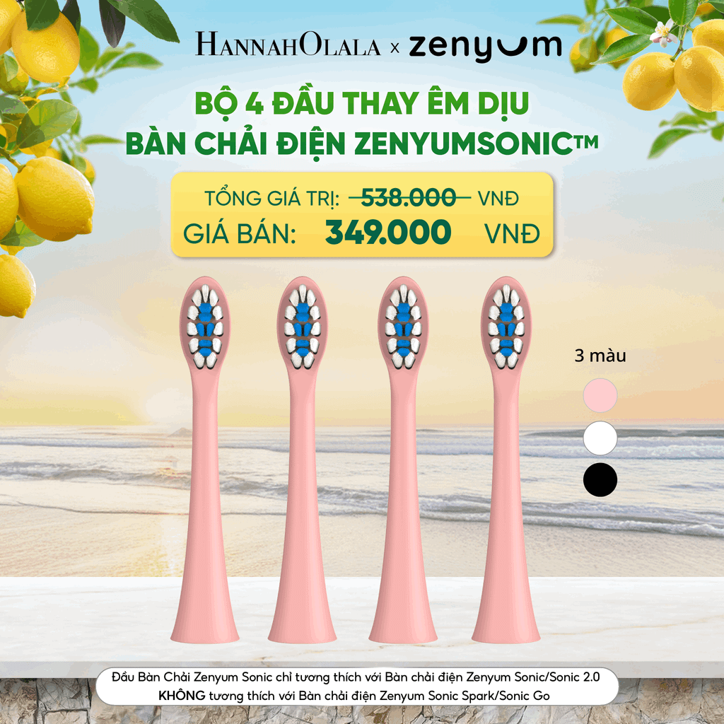  BỘ 4 ĐẦU BÀN CHẢI ZENYUM SONIC PHIÊN BẢN ÊM DỊU - A1578 