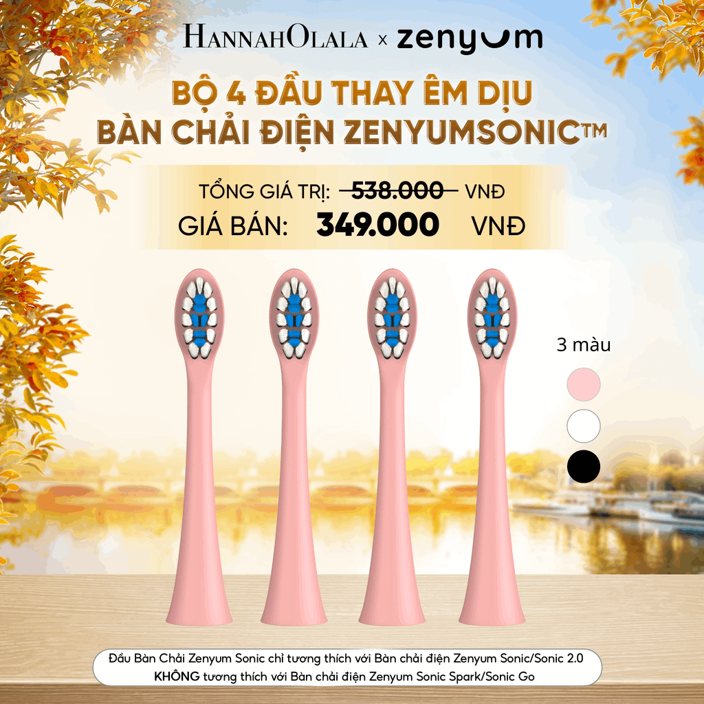  BỘ 4 ĐẦU BÀN CHẢI ZENYUM SONIC PHIÊN BẢN ÊM DỊU - E1590 