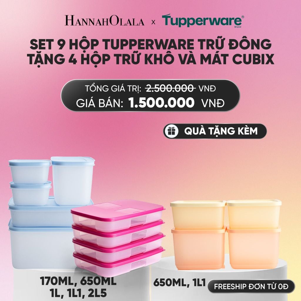  SET 9HỘP TUPPERWARE TRỮ ĐÔNG TẶNG 4 HỘP TRỮ KHÔ VÀ MÁT CUBIX_A314 