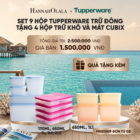  SET 9HỘP TUPPERWARE TRỮ ĐÔNG TẶNG 4 HỘP TRỮ KHÔ VÀ MÁT CUBIX_ D1778 