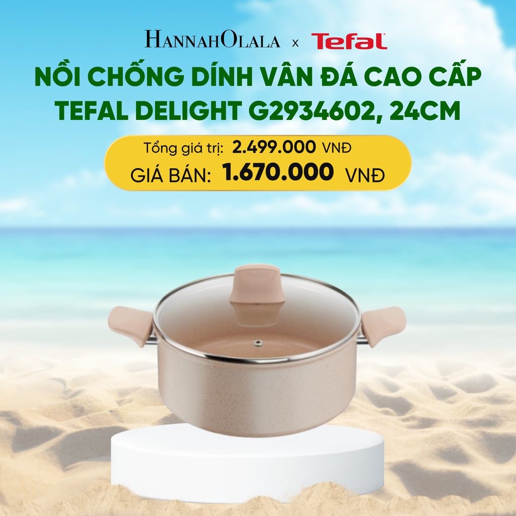  NỒI CHỐNG DÍNH VÂN ĐÁ CAO CẤP TEFAL DELIGHT G2934602, 24CM 