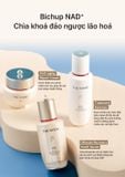  E242_DEAL 2: [PRE-ORDER] HANNAH EXCLUSIVE - BỘ TINH CHẤT TỰ SINH NGĂN NGỪA LÃO HÓA THẾ HỆ THỨ 4 THE WHOO BICHUP ULTIMATE RECOVERY YOUTH SERUM 50ML + 20ML (GIAO HÀNG SAU NGÀY 05/09) 