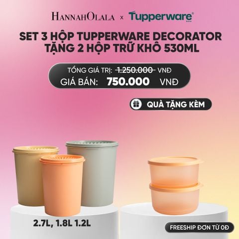  SET 3 HỘP TUPPERWARE DECORATOR TẶNG 2 HÔP TRỮ KHÔ 530ML_A302 