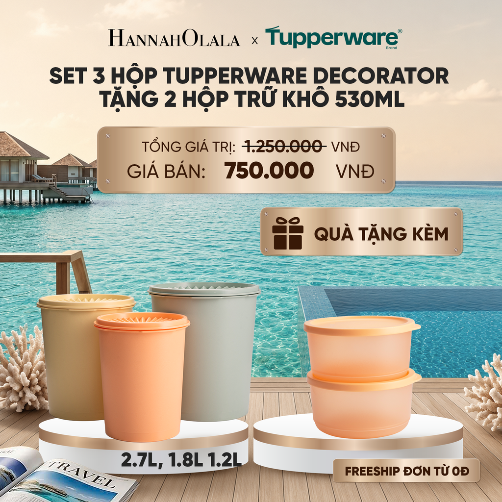  SET 3 HỘP TUPPERWARE DECORATOR TẶNG 2 HÔP TRỮ KHÔ 530ML_ D1501 