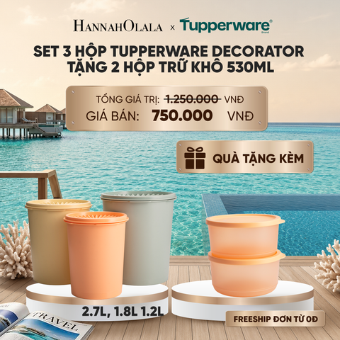  SET 3 HỘP TUPPERWARE DECORATOR TẶNG 2 HÔP TRỮ KHÔ 530ML_ D1501 