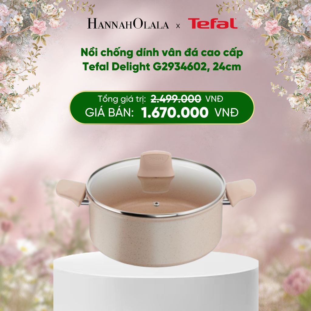 E295_DEAL 12: NỒI CHỐNG DÍNH VÂN ĐÁ CAO CẤP TEFAL DELIGHT G2934602, 24CM 