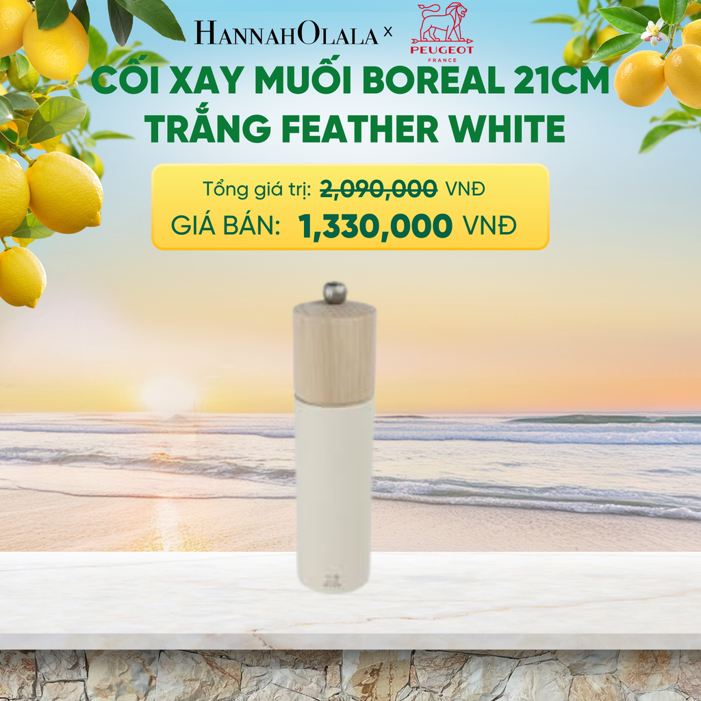  CỐI XAY MUỐI BOREAL 21CM - A2578 