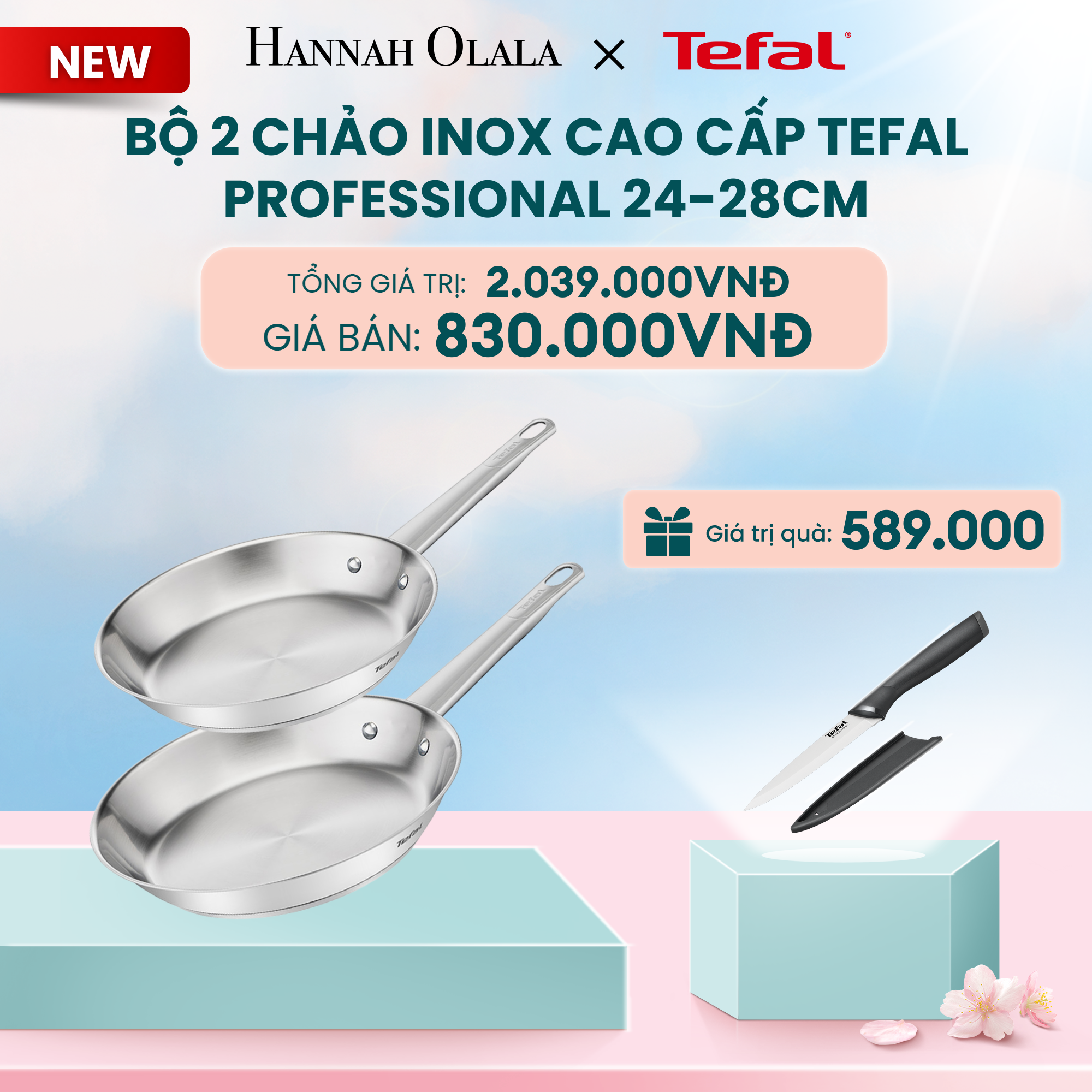  DEAL 13: BỘ 2 CHẢO INOX CAO CẤP TEFAL PROFESSIONAL 24-28CM 