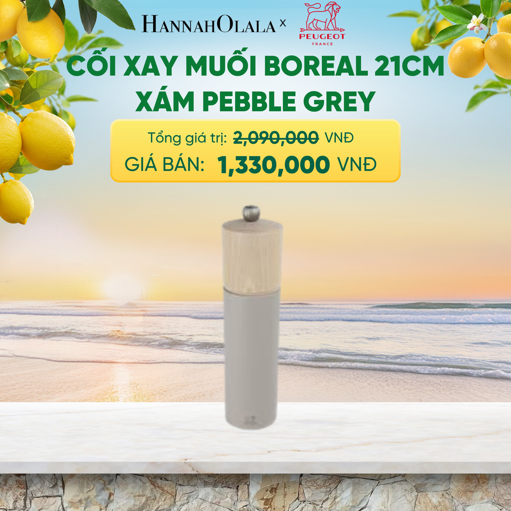  CỐI XAY MUỐI BOREAL 21CM - A2578 