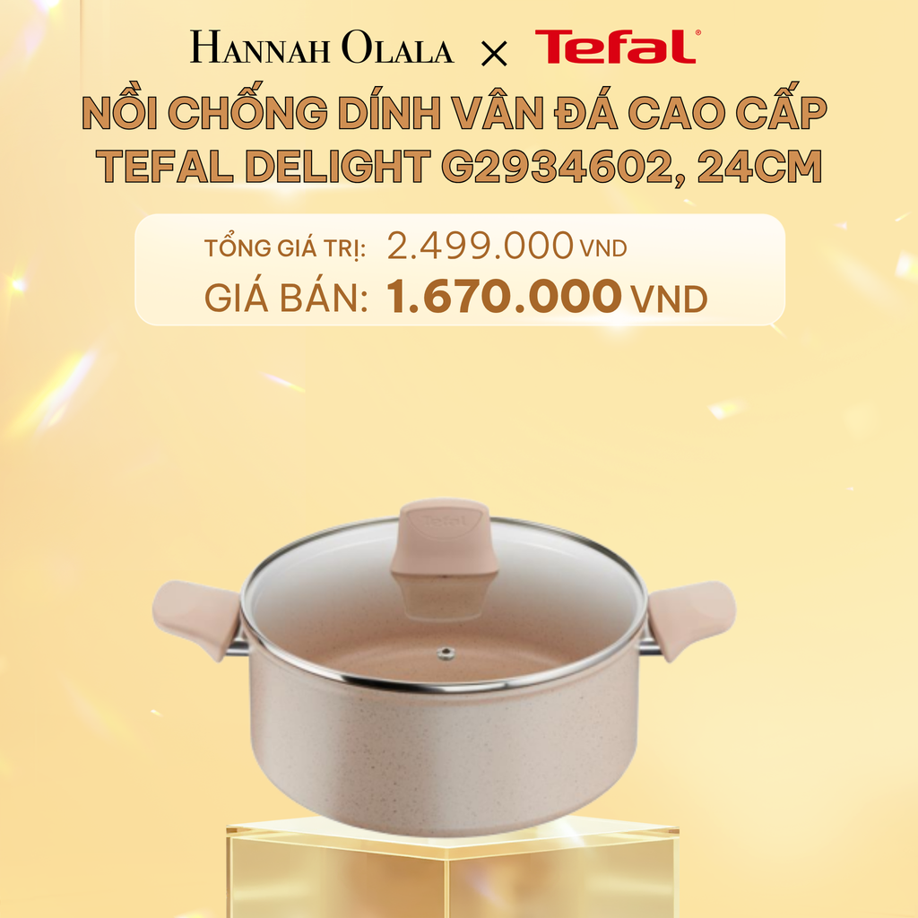  C436_DEAL 8.1: NỒI CHỐNG DÍNH VÂN ĐÁ CAO CẤP TEFAL DELIGHT G2934602, 24CM 