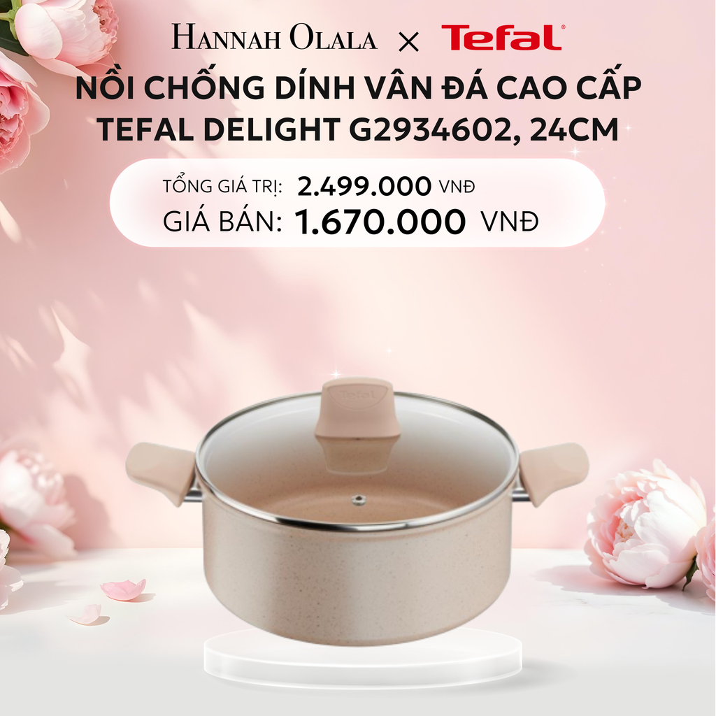  E290: DEAL 13: NỒI CHỐNG DÍNH VÂN ĐÁ CAO CẤP TEFAL DELIGHT G2934602, 24CM 
