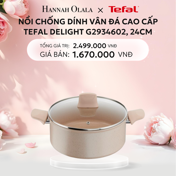  E290: DEAL 13: NỒI CHỐNG DÍNH VÂN ĐÁ CAO CẤP TEFAL DELIGHT G2934602, 24CM 