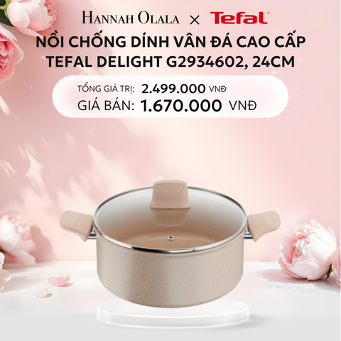  E290: DEAL 13: NỒI CHỐNG DÍNH VÂN ĐÁ CAO CẤP TEFAL DELIGHT G2934602, 24CM 