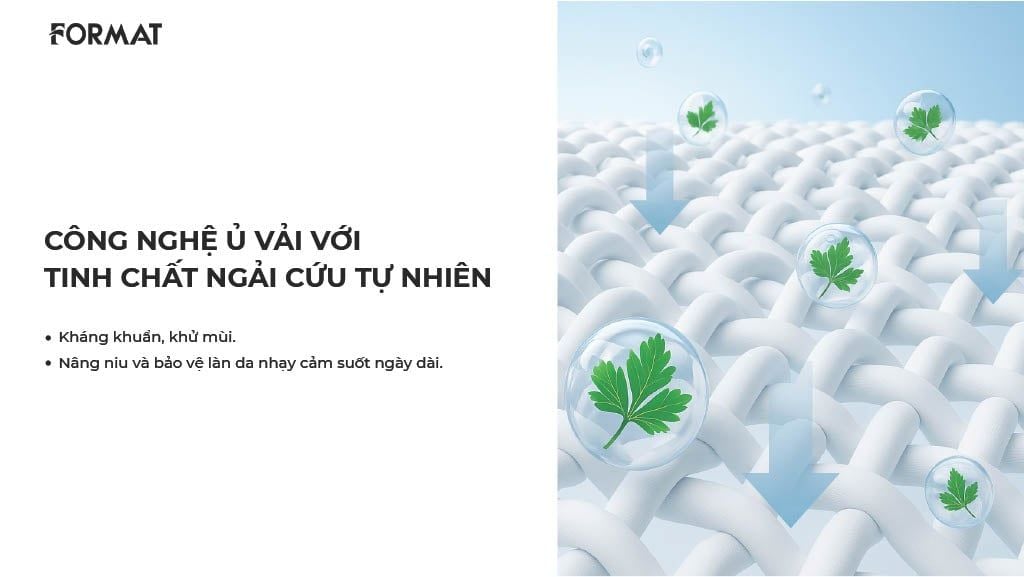  PACK 7 QUẦN LÓT NỮ THỎI SON FORMAT PREMIUM - 10006524 - DEAL 7 - A165 