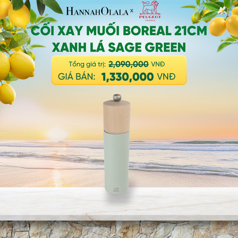  CỐI XAY MUỐI BOREAL 21CM - A2578 