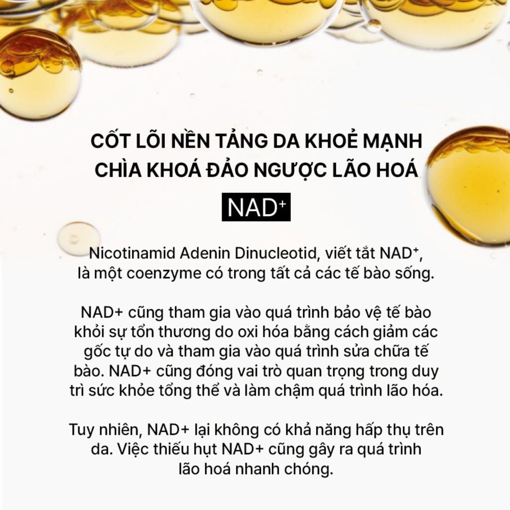  DEAL 1: TINH CHẤT TỰ SINH NGỪA LÃO HÓA THẾ HỆ THỨ 4 THE WHOO BICHUP ULTIMATE RECOVERY YOUTH SERUM 50ML 