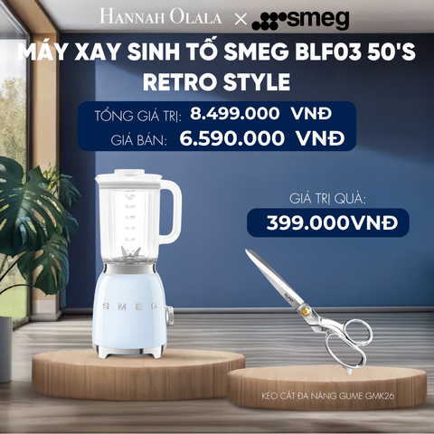  MÁY XAY SINH TỐ SMEG 50'S RETRO STYLE 