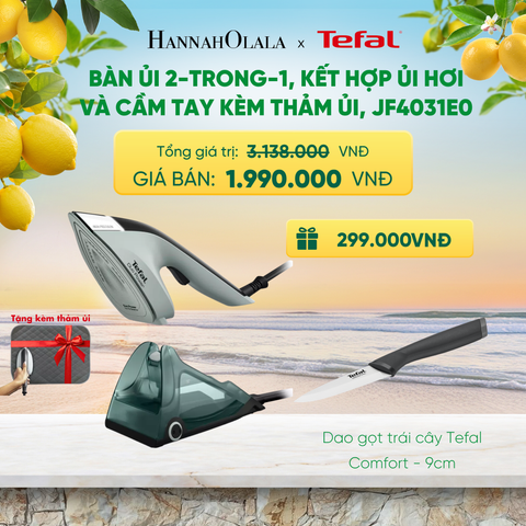  BÀN ỦI 2-TRONG-1, KẾT HỢP ỦI HƠI VÀ CẦM TAY KÈM THẢM ỦI, JF4031E0 