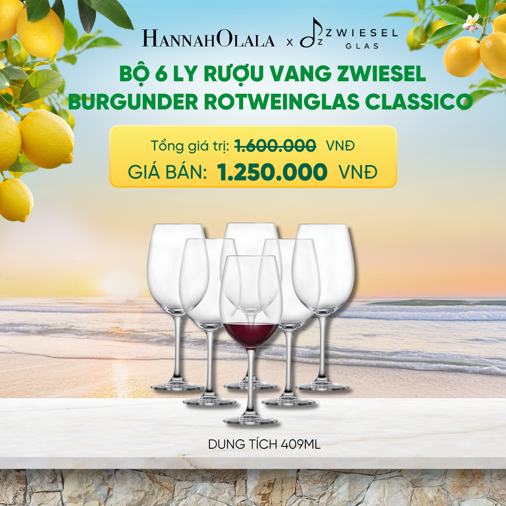  BỘ 6 LY RƯỢU VANG ZWIESEL BURGUNDER ROTWEINGLAS CLASSICO 123651 DUNG TÍCH 409ML - A2153 