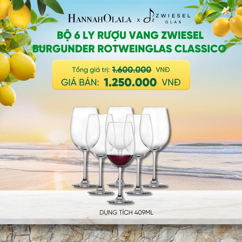  BỘ 6 LY RƯỢU VANG ZWIESEL BURGUNDER ROTWEINGLAS CLASSICO 123651 DUNG TÍCH 409ML - A2153 