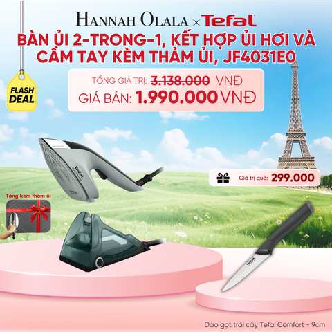 BÀN ỦI 2-TRONG-1, KẾT HỢP ỦI HƠI VÀ CẦM TAY KÈM THẢM ỦI, JF4031E0 - B236 