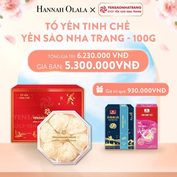  A962_DEAL 08: TỔ YẾN TINH CHẾ YSNT - 100G 