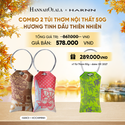  COMBO 2 TÚI THƠM NỘI THẤT 50G HƯƠNG TINH DẦU THIÊN NHIÊN - E241 