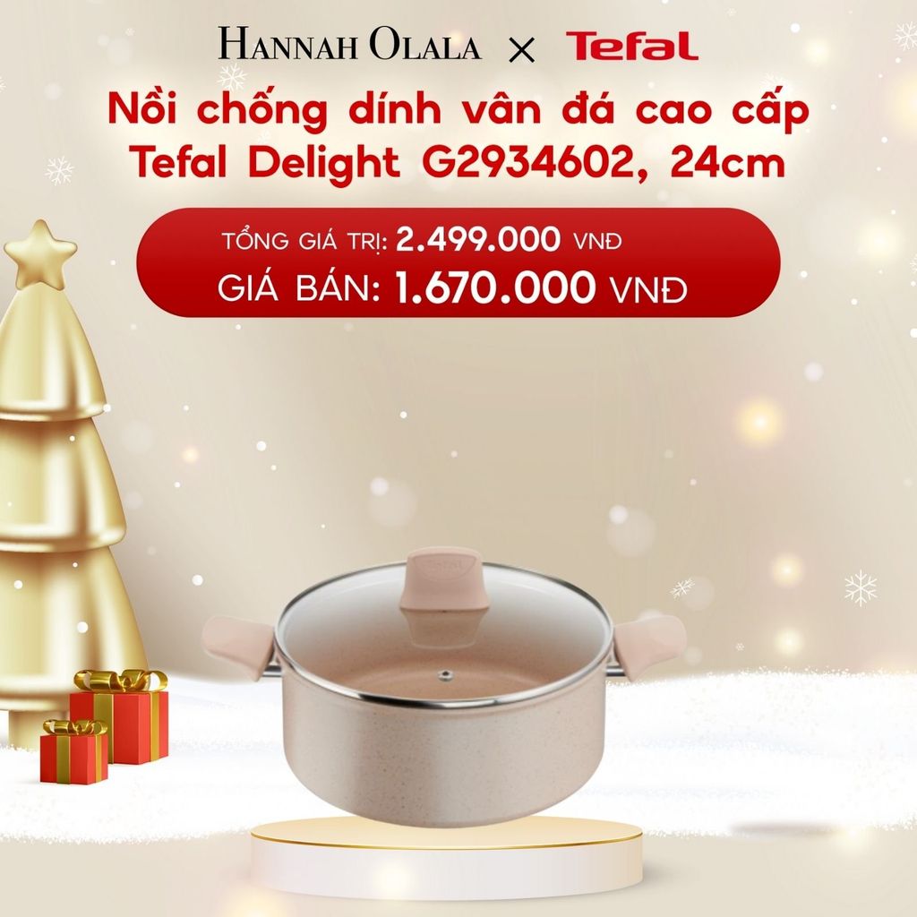  A1165_DEAL 9.1: NỒI CHỐNG DÍNH VÂN ĐÁ CAO CẤP TEFAL DELIGHT G2934602, 24CM 
