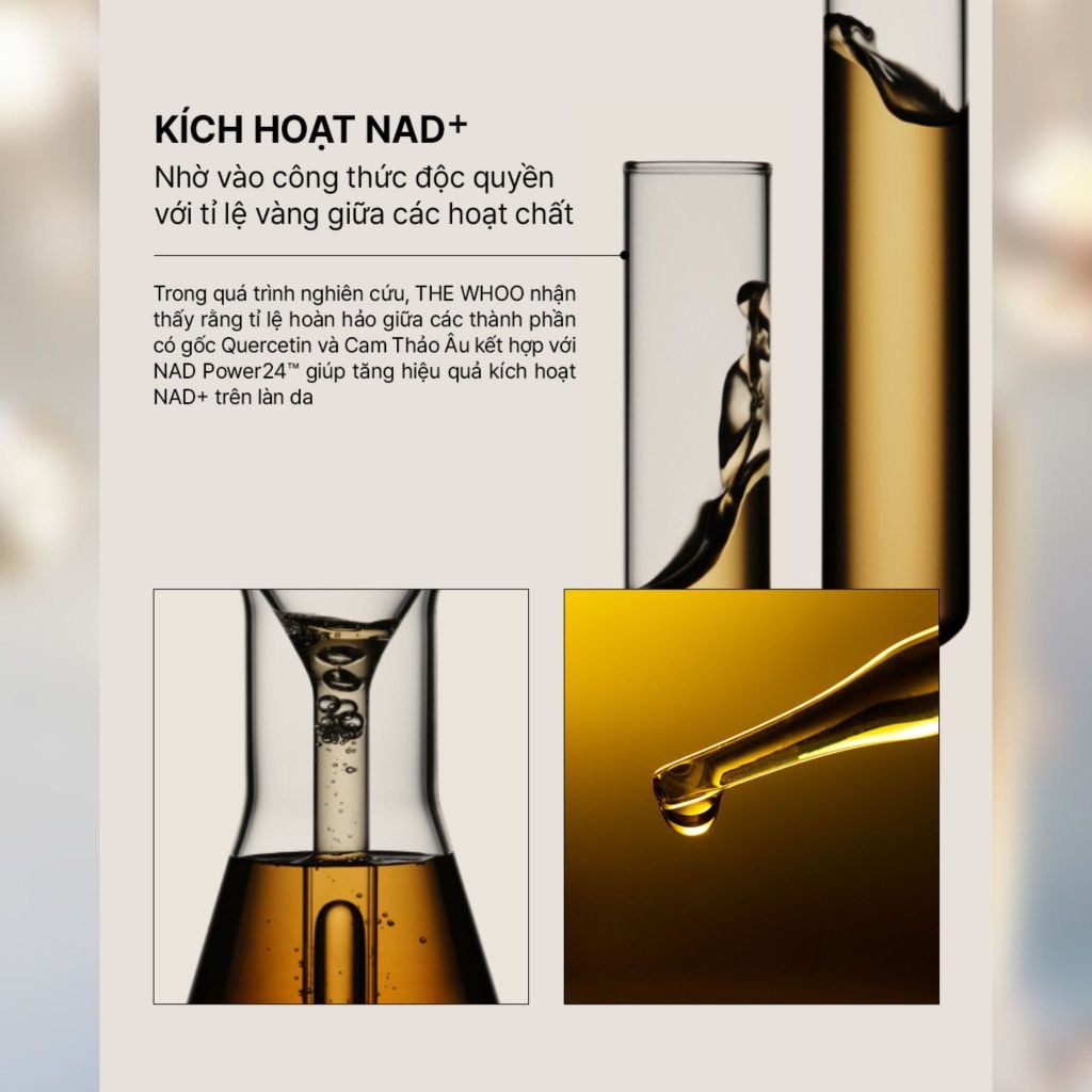  DEAL 1: TINH CHẤT TỰ SINH NGỪA LÃO HÓA THẾ HỆ THỨ 4 THE WHOO BICHUP ULTIMATE RECOVERY YOUTH SERUM 50ML 