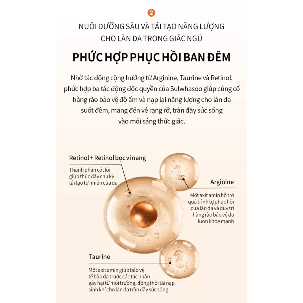  MỚI - MẶT NẠ NGỦ TÁI TẠO NĂNG LƯỢNG VÀ SĂN CHẮC DA OVERNIGHT RECHARGING MASK 120ML 