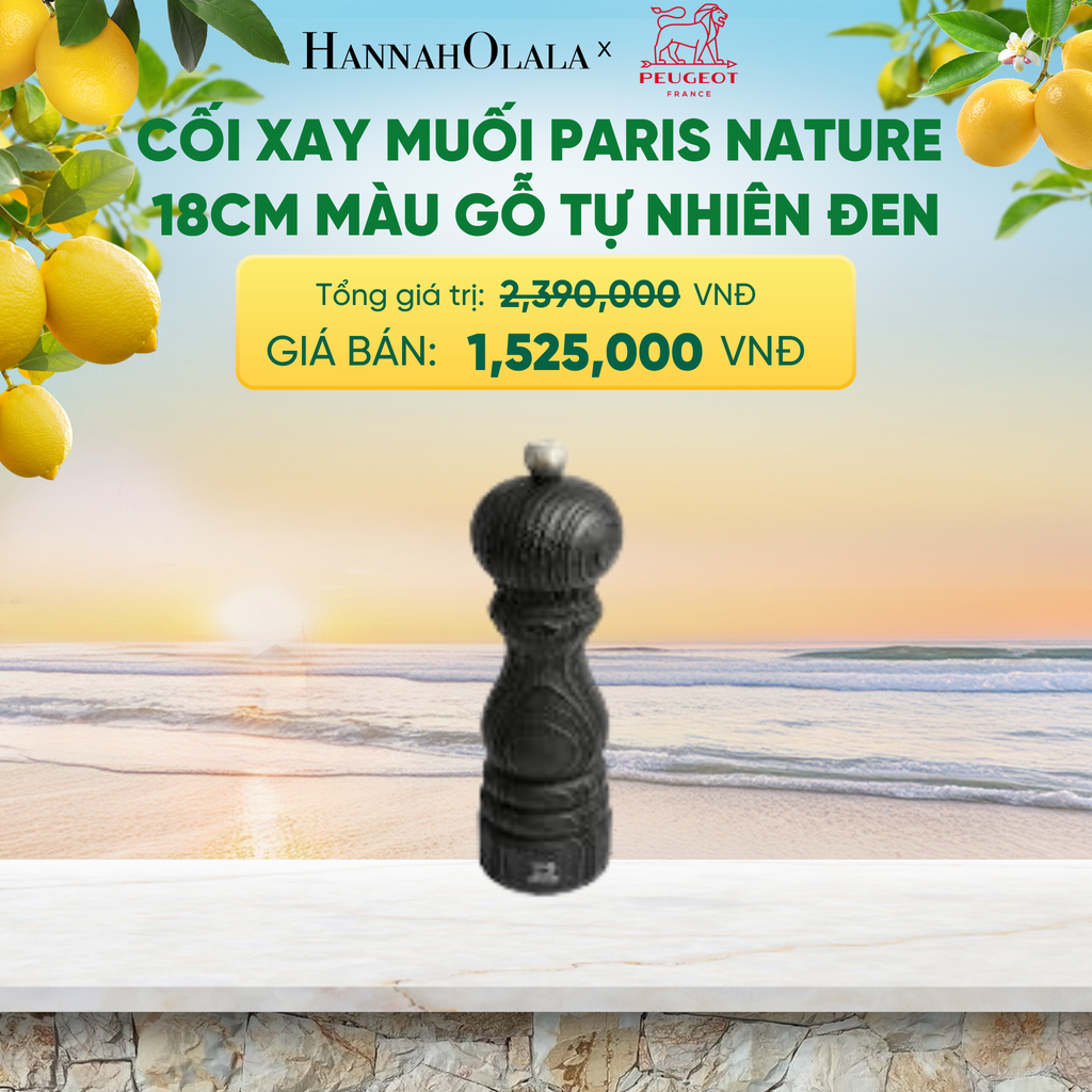  CỐI XAY MUỐI PARIS NATURE 18CM
MÀU GỖ TỰ NHIÊN ĐEN - A2586 