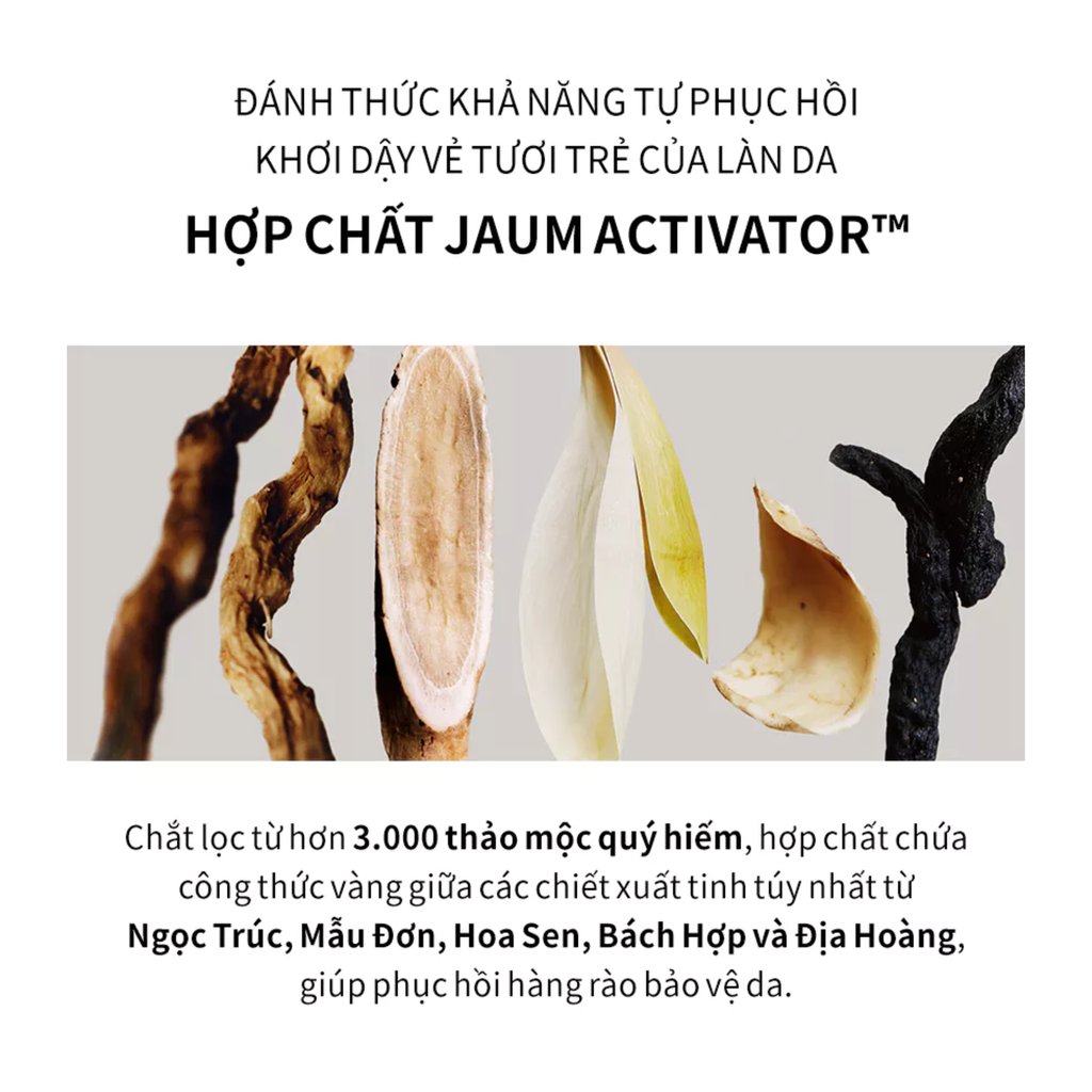  MỚI - MẶT NẠ NGỦ TÁI TẠO NĂNG LƯỢNG VÀ SĂN CHẮC DA OVERNIGHT RECHARGING MASK 120ML 