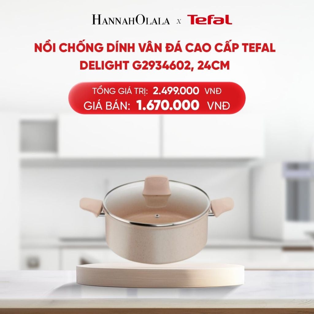  B204_DEAL 9.1: NỒI CHỐNG DÍNH VÂN ĐÁ CAO CẤP TEFAL DELIGHT G2934602, 24CM 