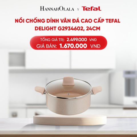  DEAL 9.1: NỒI CHỐNG DÍNH VÂN ĐÁ CAO CẤP TEFAL DELIGHT G2934602, 24CM 