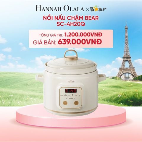  NỒI NẤU CHẬM BEAR SC-4H20Q - B111 
