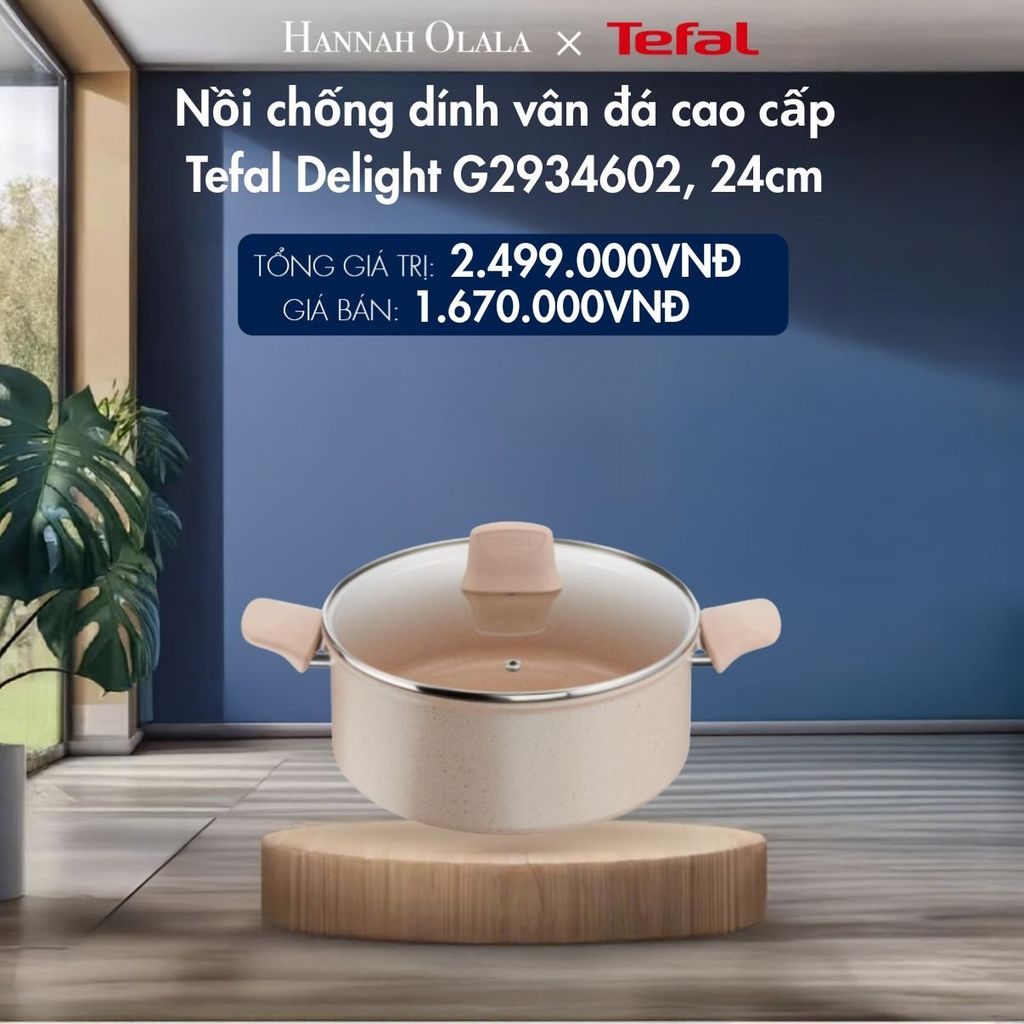  M122_DEAL 9.1: NỒI CHỐNG DÍNH VÂN ĐÁ CAO CẤP TEFAL DELIGHT G2934602, 24CM 