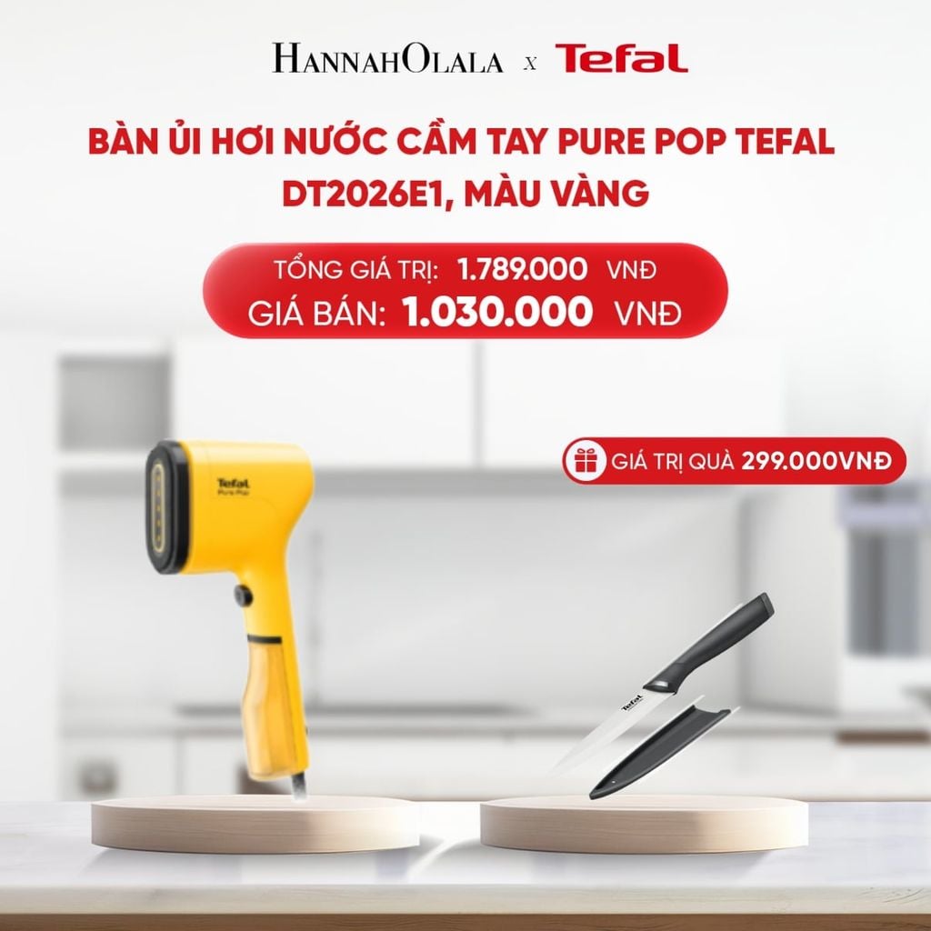  B190_DEAL 4: BÀN ỦI HƠI NƯỚC CẦM TAY PURE POP TEFAL DT2020E1 