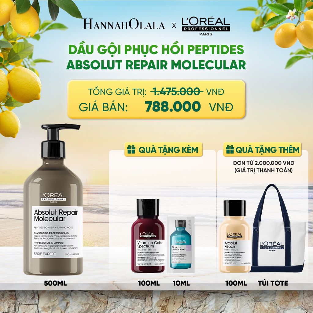  DẦU GỘI PHỤC HỒI TÓC HƯ TỔN CHUYÊN SÂU SERIE EXPERT ABSOLUT REPAIR MOLECULAR 500ML - DEAL 08 - A478 