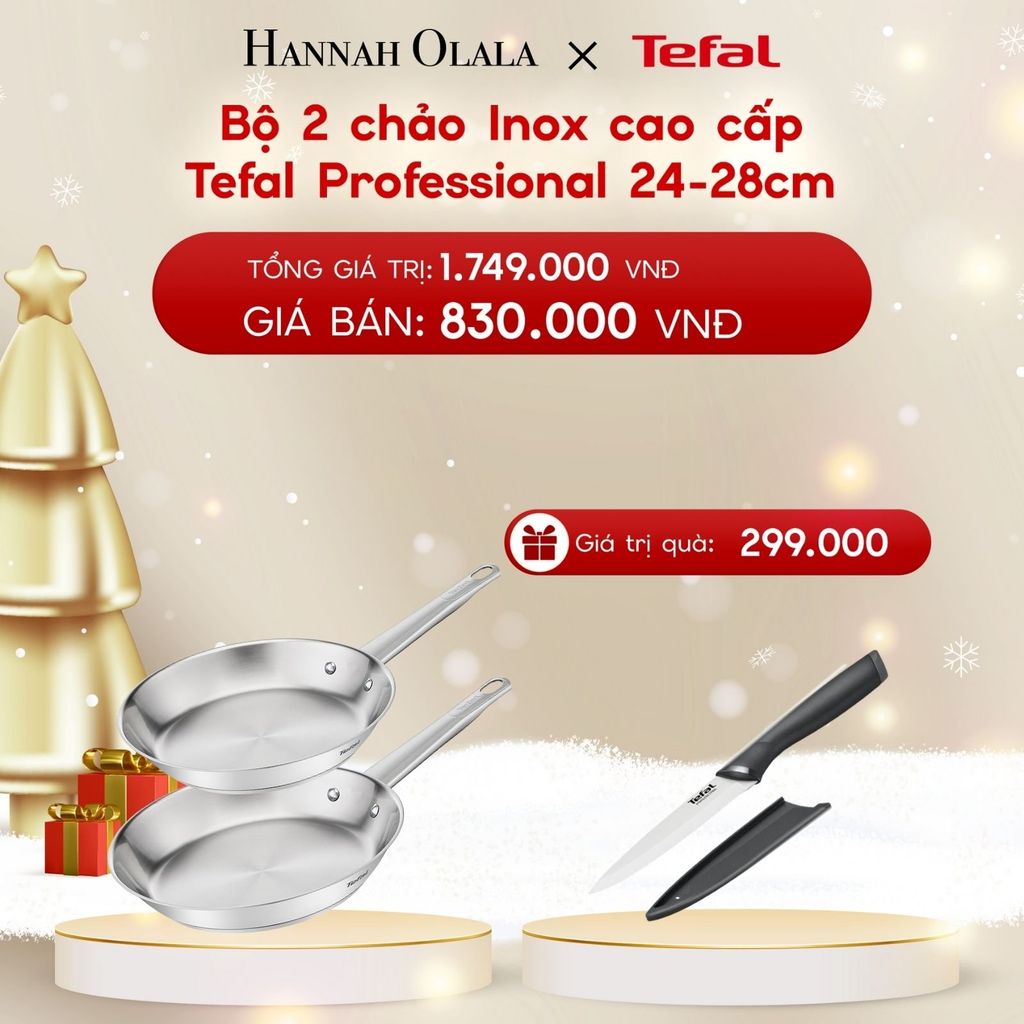  A1180_DEAL 16.1: BỘ 2 CHẢO INOX CAO CẤP TEFAL PROFESSIONAL 24-28CM 