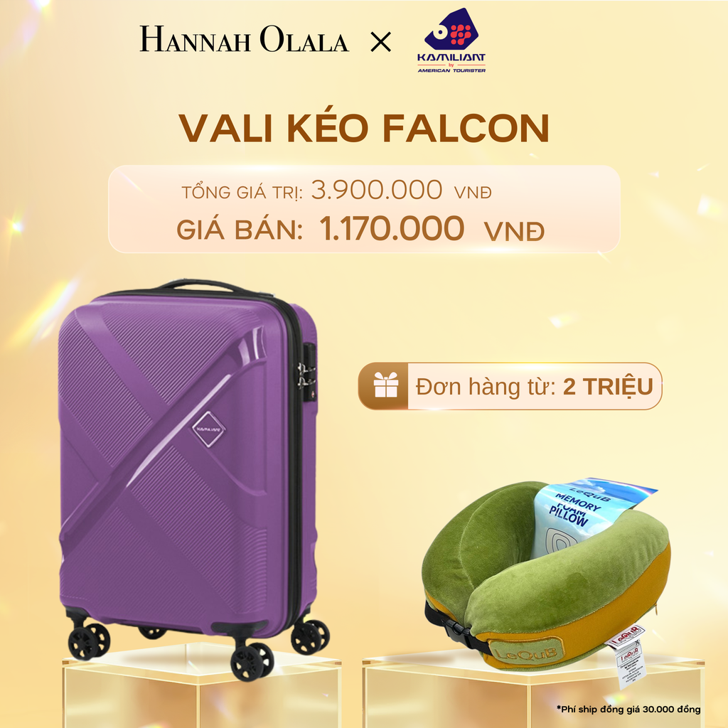  C488_DEAL 21: VALI KÉO FALCON SIZE CABIN 