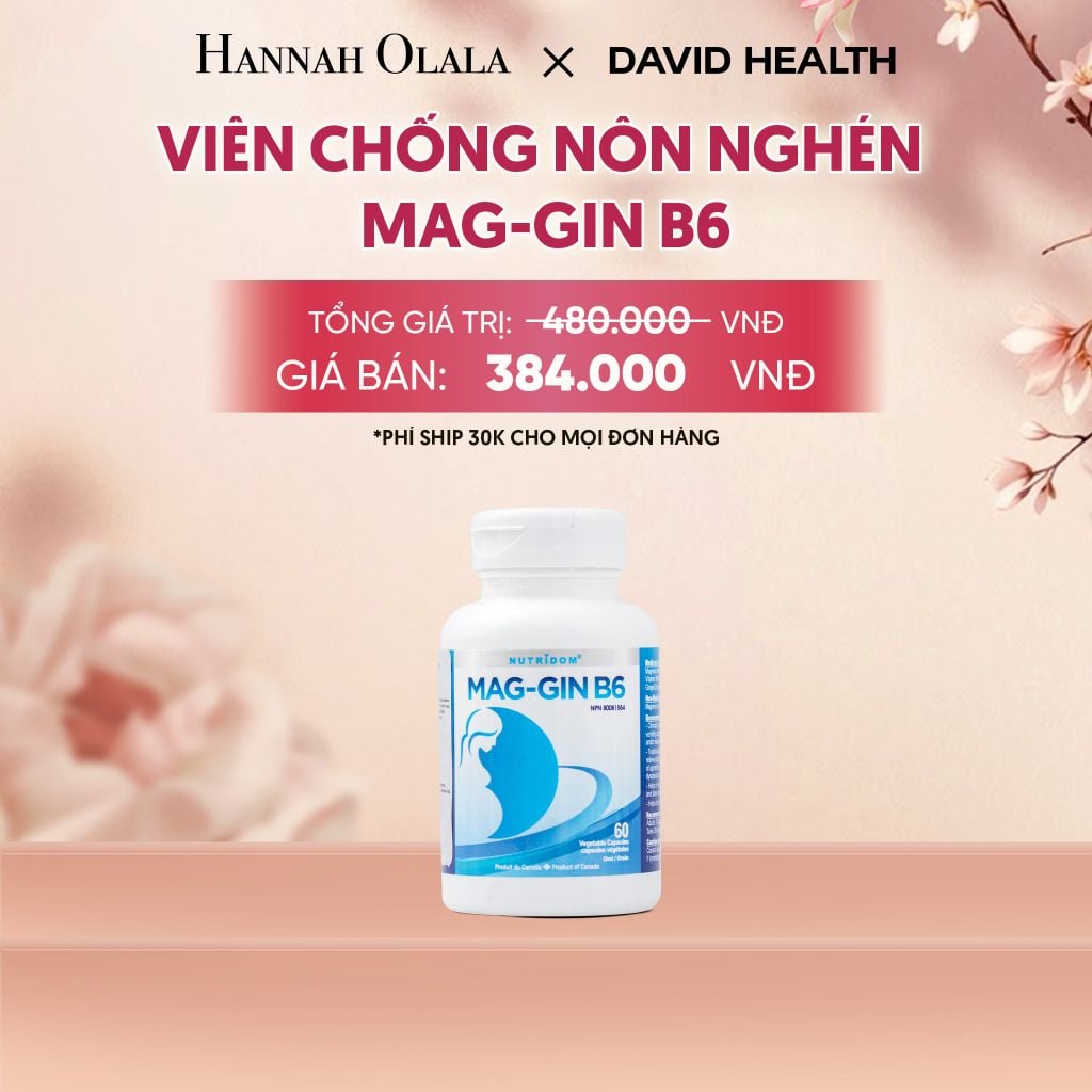  VIÊN CHỖNG NÔN NGHÉN MAG-GIN B6 (60 VIÊN) - A2 