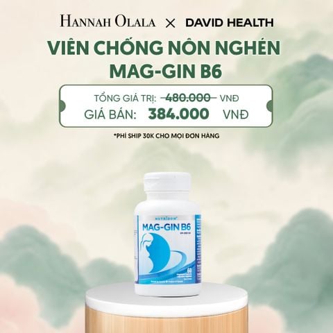  VIÊN CHỖNG NÔN NGHÉN MAG-GIN B6 (60 VIÊN) - DEAL 10 - A842 