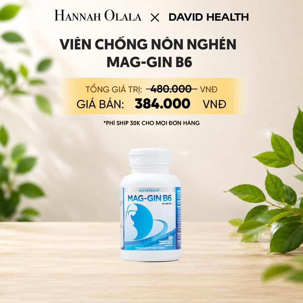  VIÊN CHỖNG NÔN NGHÉN MAG-GIN B6 (60 VIÊN) 