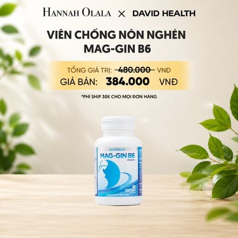  VIÊN CHỖNG NÔN NGHÉN MAG-GIN B6 (60 VIÊN) 