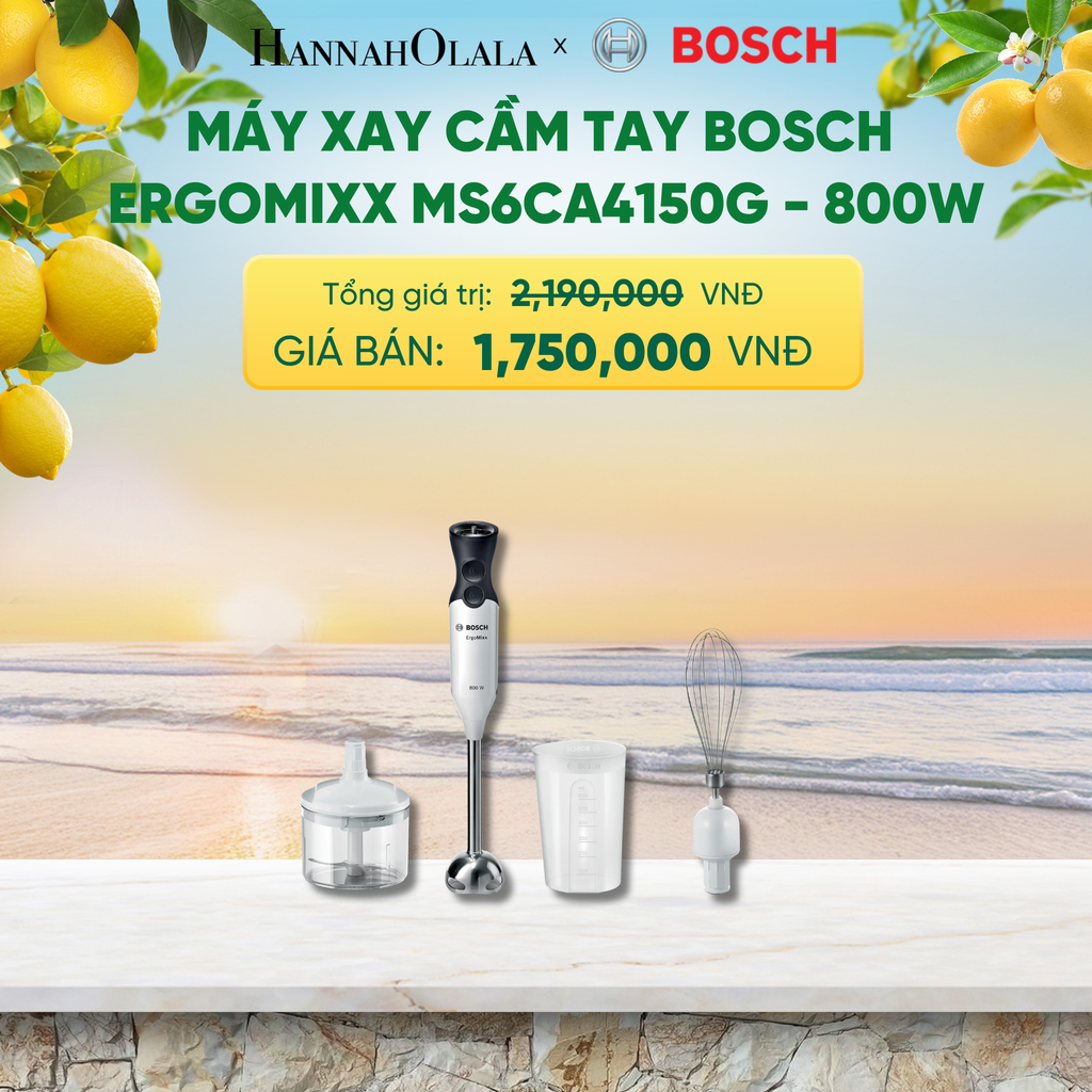  MÁY XAY CẦM TAY BOSCH ERGOMIXX MS6CA4150G - 800W - A2393 