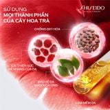  C18_DEAL 25: BỘ TINH CHẤT DƯỠNG DA ULTIMUNE 4.0 SERUM 30ML VÀ KEM NỀN REVITALESSENCE SKIN GLOW FOUNDATION 120 30ML 